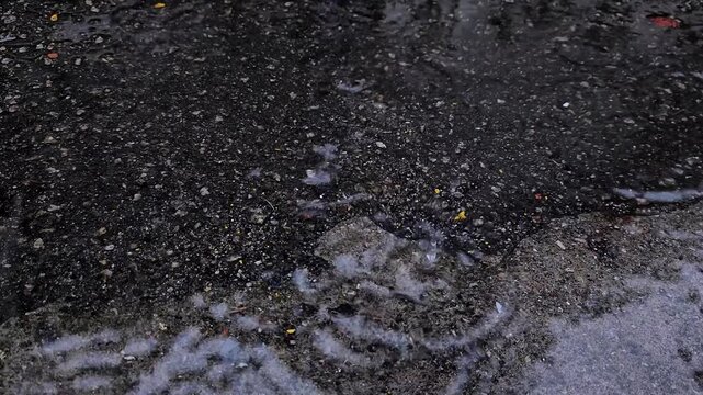 Rainwater drops down on the floor. Raining day at tropical country.