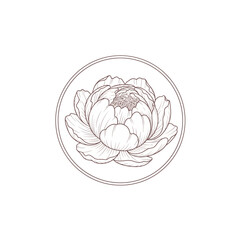 Elegant botanical line art illustration of a peony flower in a circular frame.