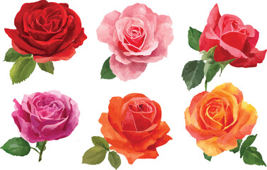 Fototapeta premium watercolor roses, pink roses, red roses, orange roses, floral, bouquet