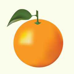 Orange fruit realstic vector illustration