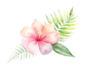 Bright Tropical Watercolor Floral Set with Leaves isolated on white background