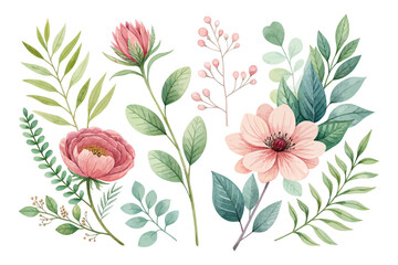 Botanical Watercolor Greenery and Flowers Clipart Set isolated on white background