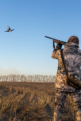 Hunter with a gun hunting on black grouse. Hunters open season in autumn.