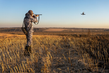 Man hunter shooting to the flying bird. Hunter with a gun hunting on black grouse
