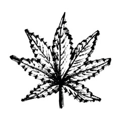 Hand drawn cannabis leaf Medicine marijuana Hemp leaves clipart in doodle style Single element for print, web, design, decor