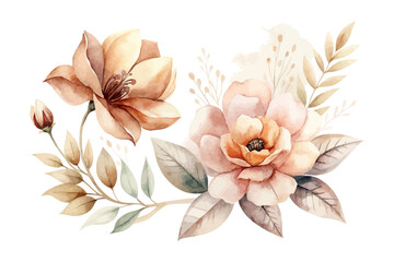 Boho Watercolor Floral Elements in Neutral Tones isolated on white background