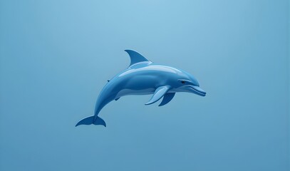 Obraz premium Elegant blue dolphin gracefully swimming underwater in bright, clear ocean depths for marine life education