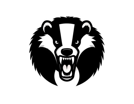 Aggressive badger head with sharp teeth, monochrome on white
