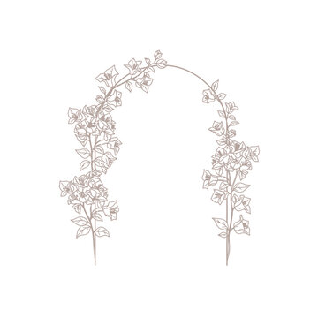 Delicate line art illustration of a floral arch adorned with blooming flowers, perfect for elegant design elements.