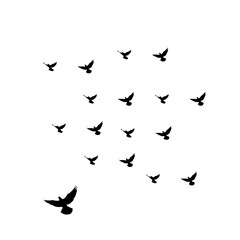 Birds flying in formation against a white background.