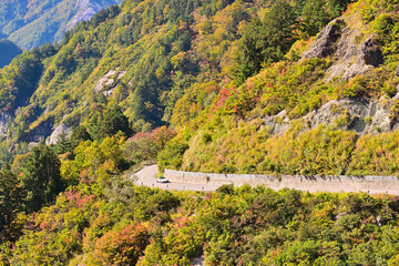 白山白川郷ホワイトロードと紅葉

