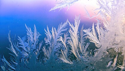 Abstract Winter Frost Pattern on Glass Pane