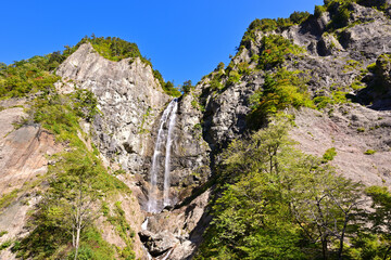 白山白川郷ホワイトロードの紅葉