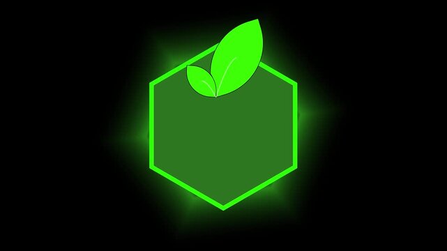 Solid Green Hexagon Shape with Bright Green Outline on Black Background geometric. Futuristic solid green hexagon with luminous outline on dark background illustrating geometric patterns.