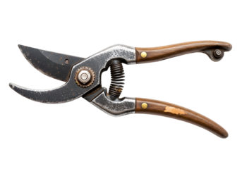old pruning shear on transparent background