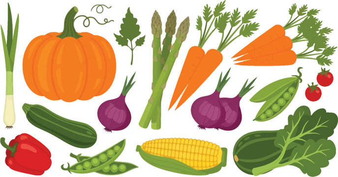 Collection of colorful hand drawn fresh delicious vegetables isolated on white background. Bundle of healthy and tasty vegan products, wholesome vegetarian food. 