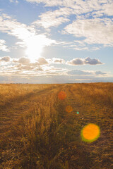 Road in field at sunset. Beautiful sunset and field road..