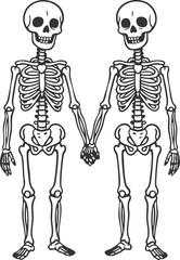 Two Skeletons Holding Hands vector illustration 