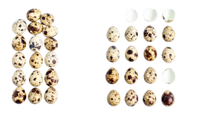 Bundle of organic quail eggs for healthy cooking isolated on transparent background