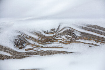 Snow on Weathered Log