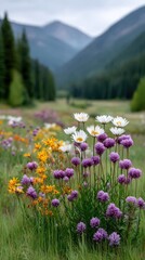 Obraz premium Vibrant wildflower meadow with purple white and yellow blossoms in the foreground with distant green pine forest and misty mountains under a cloudy sky