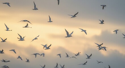 Obraz premium Many birds fly freely in an expansive sky bathed in beautiful warm golden hour sunlight. AI Generated