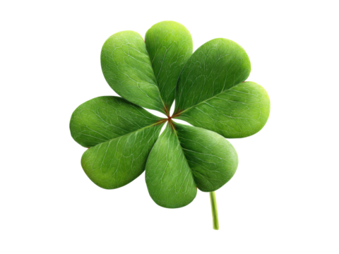 Vibrant green clover leaf with detailed veins on black background nature plant, Isolated, Png Transparent Background