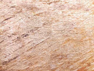 Wood texture for background, classic abstract wood surface, natural wood pattern.
