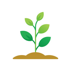 Green plant sprout growing from soil on white background seedling growth