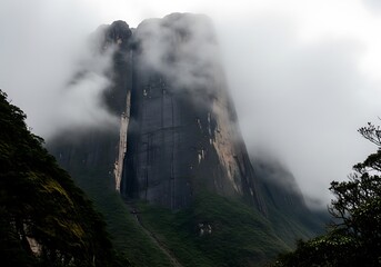 Majestic Table Mountain Peaks Through Dense Clouds Amidst Tropical Forest Scenery