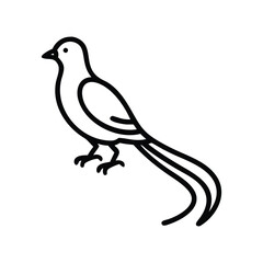 Black outline of a longtailed bird standing on two feet. Line icon style editable stroke