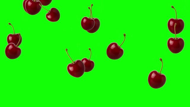 Falling fresh cherry fruits motion graphics with green screen background