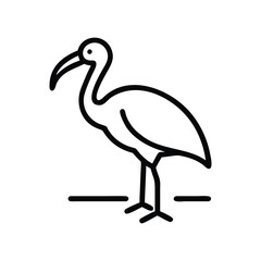 Obraz premium Line drawing of an ibis bird standing on grass. Line icon style editable stroke