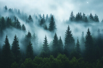 A forest shrouded in mist, with the Milky Way breaking through above  