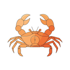 Illustration of an orange crab with claws raised on a white background.