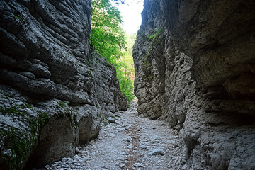 A narrow rock passage leading to a hidden valley