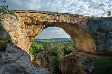 A natural bridge covered in ancient fossil imprints