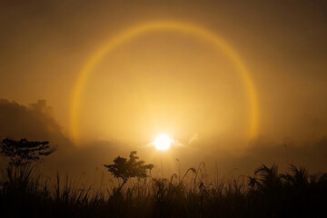 A sun halo glowing in the sky after a tropical rainstorm
