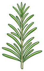 Fototapeta premium Delicate Rosemary Sprig Illustration Herb Herbaceous Plant with Needle Shaped Leaves in Green and Beige Tones