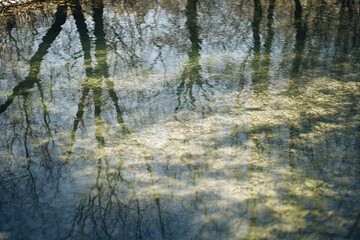 A time-lapse view of shadows dancing across the surface of a clear spring