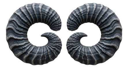 Pair of dark, textured, spiraled ram horns isolated for design and commercial projects. isolated PNG with Transparent Background