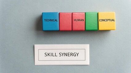 Colorful Blocks Representing Skill Synergy for Personal Development in Technical, Human, and Conceptual Categories