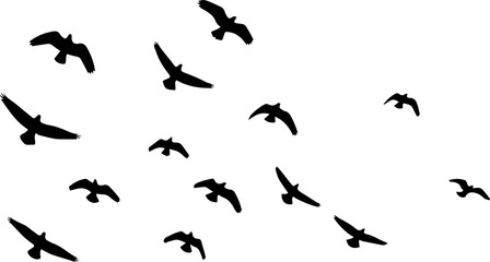 Flying Birds Silhouette PNG – Minimalist Bird Flock Outline Illustration