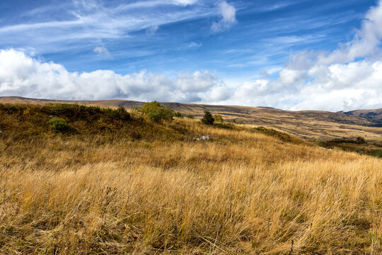 Autumn on a high-altitude plateau, withered plants, cloudy morning panorama of the area, nature is preparing for the winter period