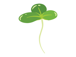 Duckweed Lemna Minor Clip Art Illustration
