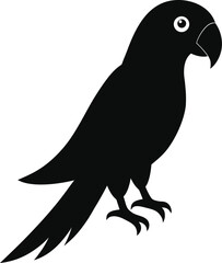 bird silhouette vector