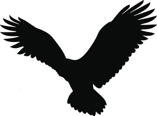 Obraz premium Landing Eagle Silhouette – Powerful Bird of Prey Vector Illustration