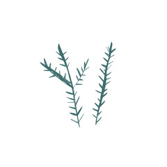 Hand drawn scandi pine branches with simple organic lines in nordic minimal style for winter and christmas design projects