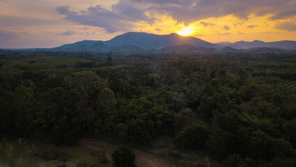 Aerial view tropical rainforest river curve sunrise with fog