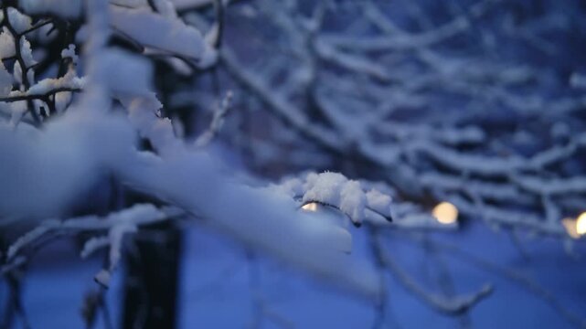 Beautiful snowy scenery in city park, winter landscape. Seasonal changes and cold weather. Natural background with snow-covered trees. evening light, blue light snow on tree branches